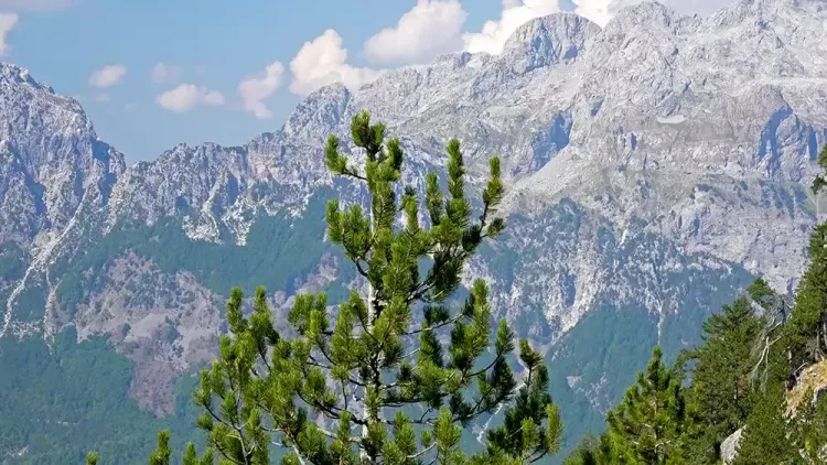 Les monts de Prokletije (les monts maudits) en Albanie La traversée Valbona - Theth dans les Alpes albanaises