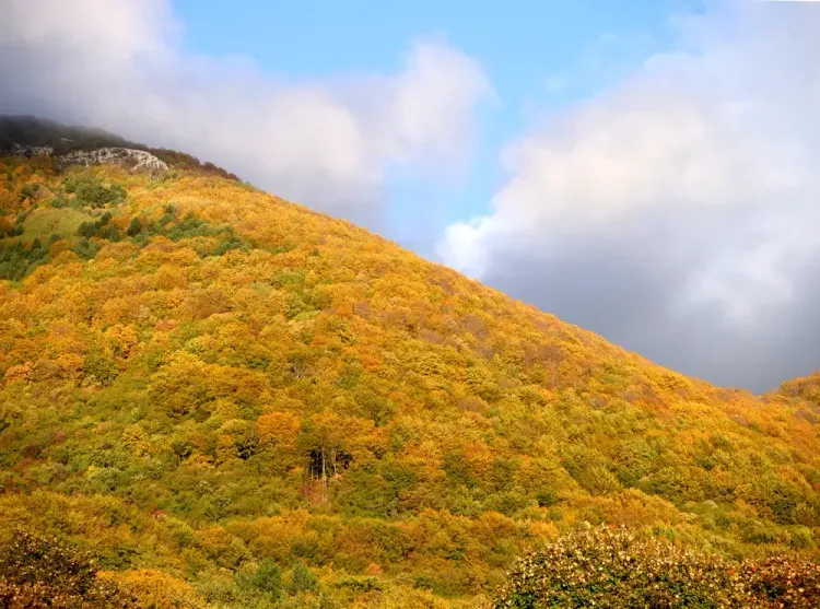 Le mont Dajti en automne (novembre), Tirana, Albanie
