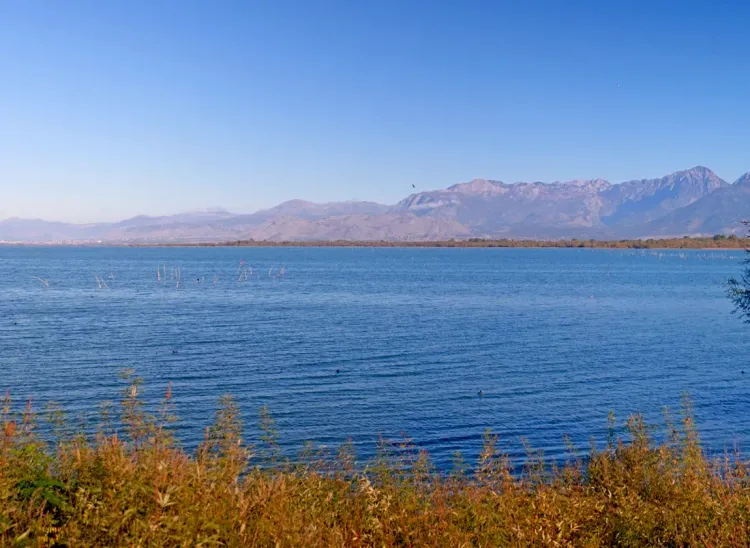 Le lac Skadar, Albanie