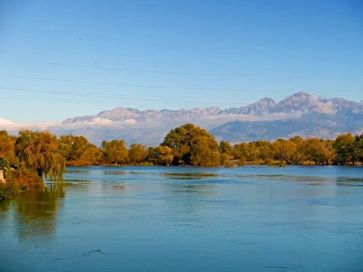 Le lac Skadar, Albanie