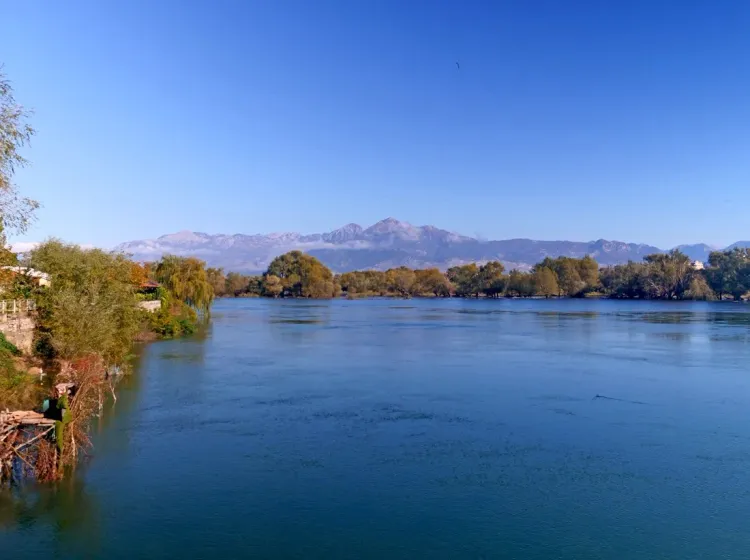 Le lac Skadar, Albanie