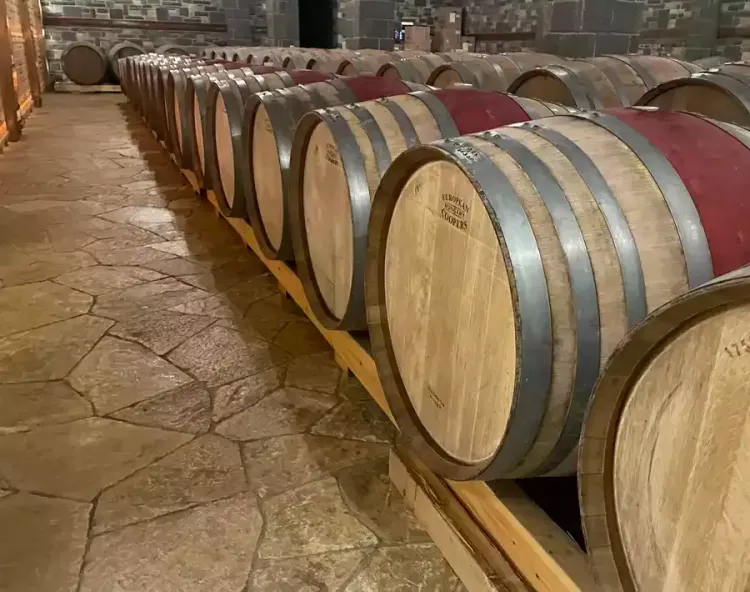 Les vignobles de la région de Berat (Pupa)