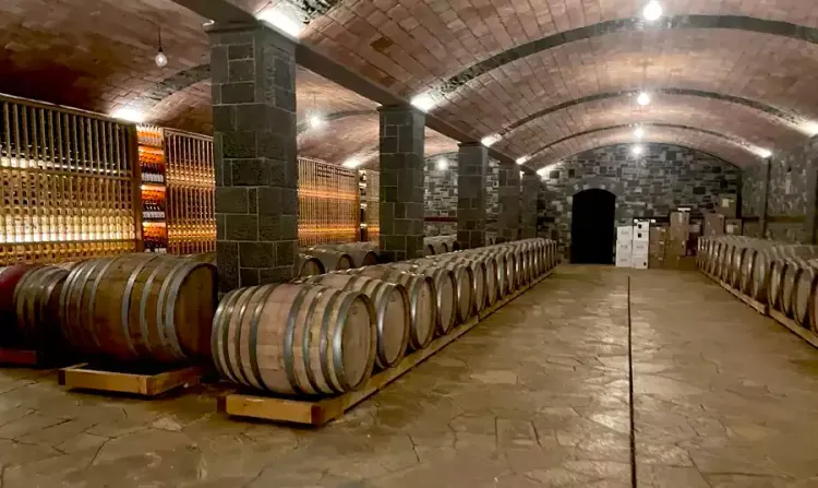 Les vignobles de la région de Berat (Pupa)