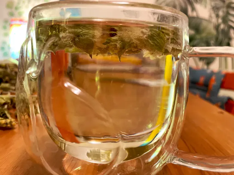 Sideritis scardica - le Çaj Mali, la préparation de la tisane (infusion pendant 7 minutes)