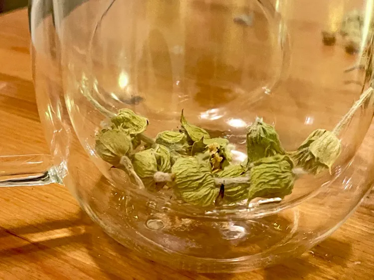 Sideritis scardica - le Çaj Mali, la préparation de la tisane