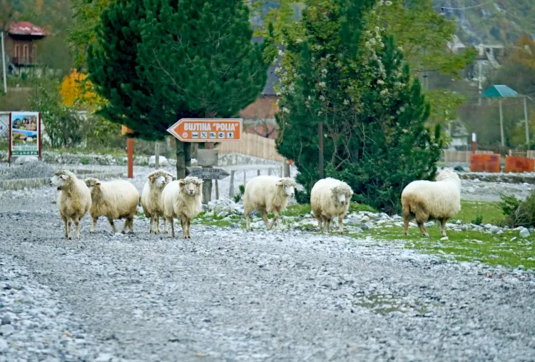 Le village de Theth