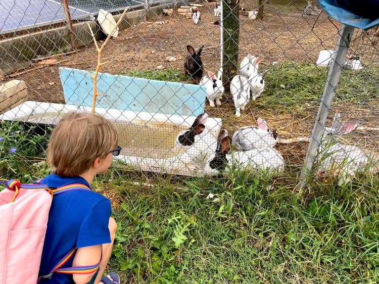Les activités pour les enfants en Albanie