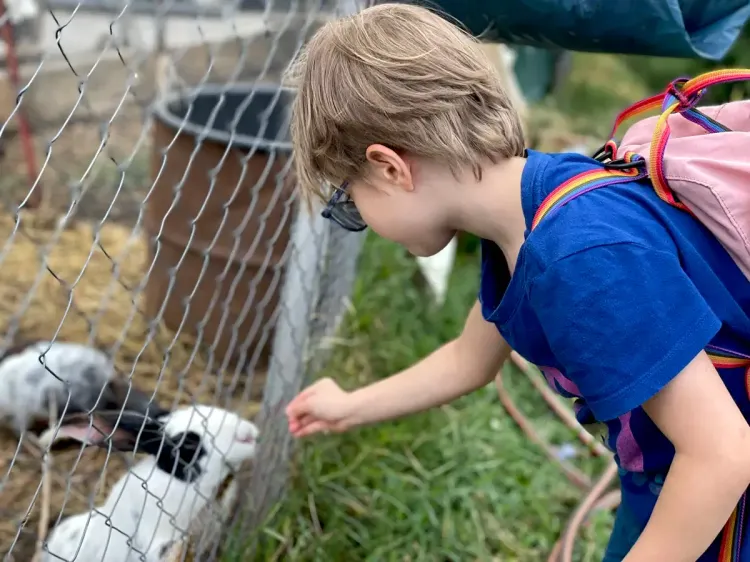 Les activités pour les enfants en Albanie