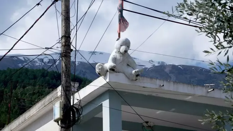 Un ourson qui défend d'un mauvais oeil, l'Albanie Un ourson qui défend d'un mauvais oeil, l'Albanie