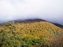 Le mont Dajti en automne (novembre), Tirana, Albanie
